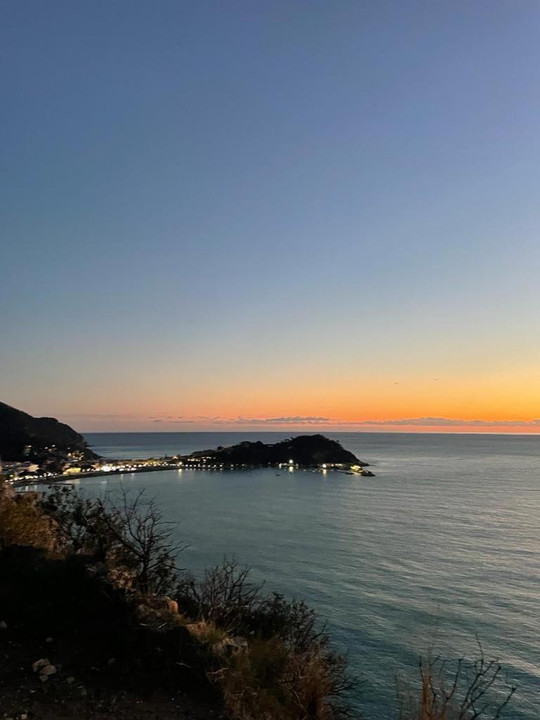 La Vie En Rose Flat Apartment Sestri Levante