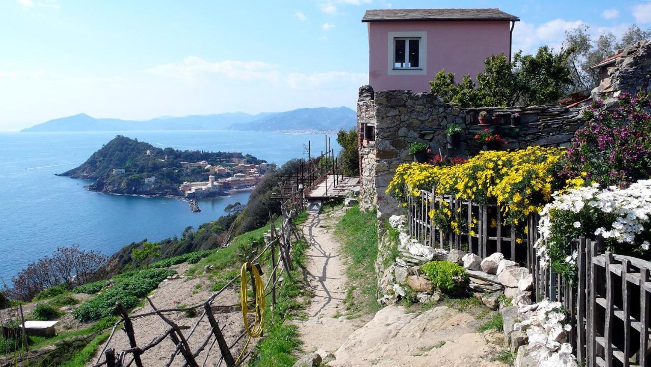 La Vie En Rose Flat Sestri Levante